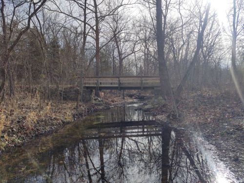 A wooden bridge spans a small creek, surrounded by bare trees and a cloudy sky. Reflections shimmer in the water.