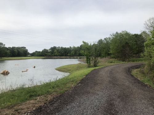 A winding gravel path beside a calm pond, surrounded by lush greenery and trees under a cloudy sky.