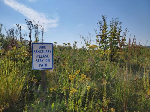 A sign in a field reads "Bird Sanctuary Please Stay on Path," surrounded by tall grasses and wildflowers.