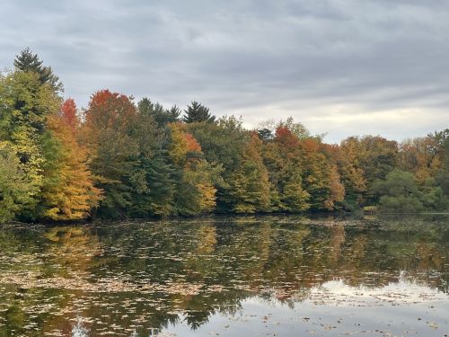 A serene lake surrounded by trees displaying vibrant autumn colors, reflecting on the water's surface under a cloudy sky.