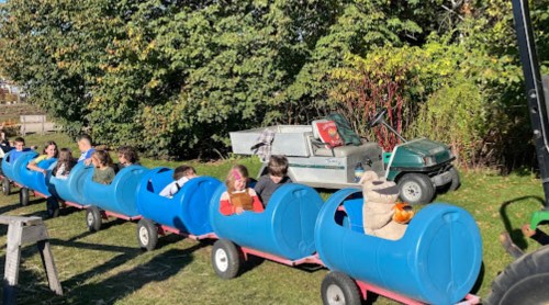 A group of children enjoying a ride on a blue barrel train in a sunny outdoor setting.