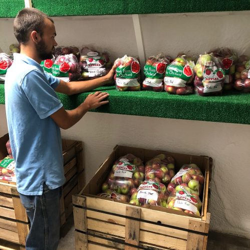 A person inspects bags of apples on a shelf, with wooden crates nearby in a market setting.