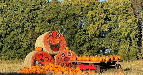 Hay bales with painted faces stacked beside a cart filled with pumpkins, set against a backdrop of trees.