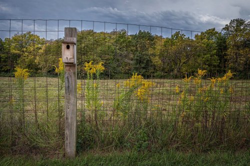 A wooden birdhouse on a post beside a wire fence, with yellow flowers and trees in the background under a cloudy sky.