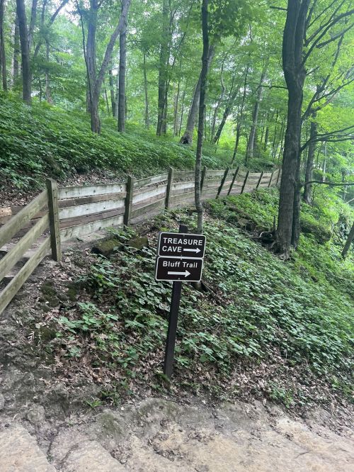 A winding trail through a lush green forest, with a sign for "Treasure Cave" and "Bluff Trail" along the path.