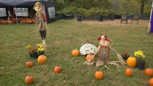 Two scarecrows stand among pumpkins and flowers in a grassy field, with a tent and more pumpkins in the background.