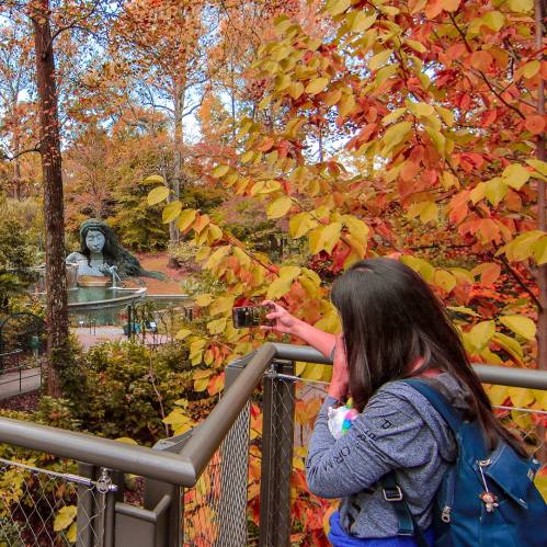 A person takes a photo of a statue surrounded by vibrant autumn foliage.