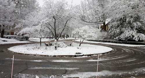 A snowy scene of a circular driveway surrounded by trees and benches, blanketed in fresh white snow.