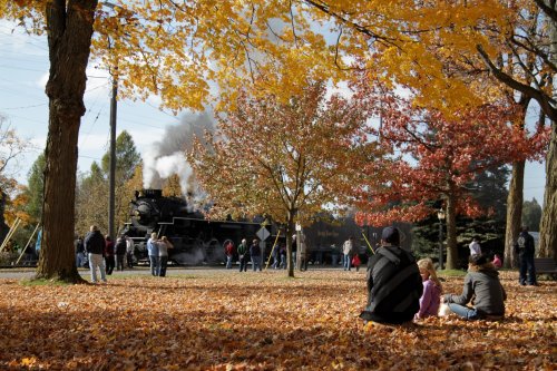 A steam train passes through a park filled with colorful autumn leaves, with people watching and enjoying the scenery.