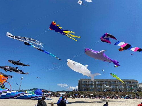 Colorful kites shaped like sea creatures flying over a beach, with spectators enjoying the event below.