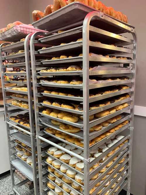 A metal rack filled with various donuts, stacked neatly in a bakery setting.