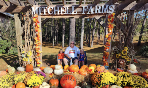 A family sits among colorful pumpkins and flowers at Mitchell Farms, with a sign overhead and autumn decorations.