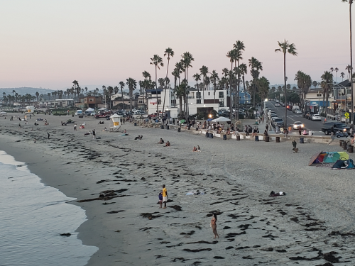 A beach scene at sunset with people walking, sitting, and enjoying the shore, lined with palm trees and buildings.