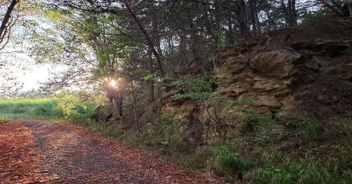 A sunbeam shines through trees along a gravel path beside a rocky outcrop, surrounded by autumn leaves.