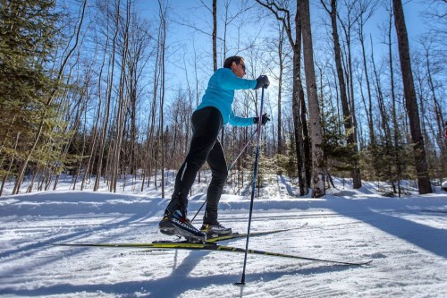 A person skiing on a snowy trail surrounded by trees, wearing a blue top and black pants, enjoying a sunny winter day.