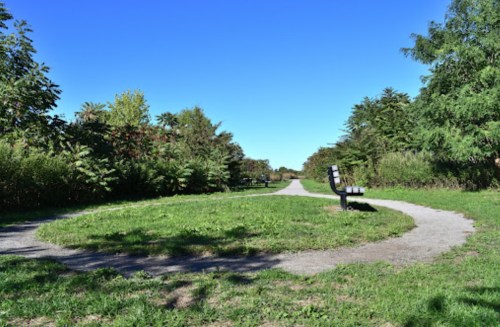 A park path splits into two, with a bench on a grassy area under a clear blue sky.