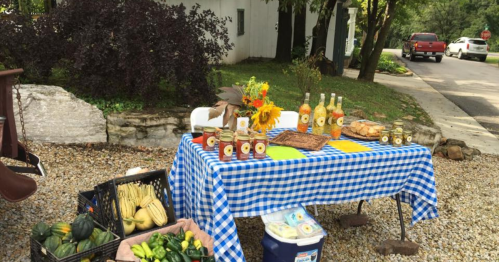 A roadside stand with a checkered tablecloth displaying jars, flowers, and fresh produce, set in a scenic outdoor area.