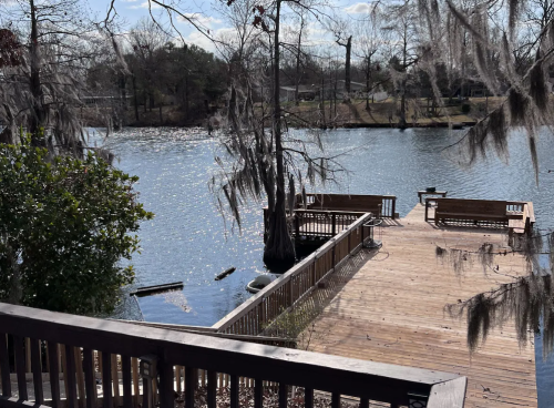 A serene view of a lake with a wooden dock, surrounded by trees and Spanish moss under a clear blue sky.