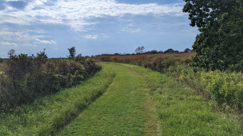 A winding grassy path surrounded by colorful foliage under a partly cloudy sky.