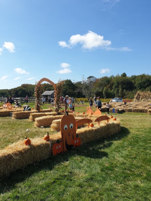A sunny outdoor scene with hay bales, pumpkins, and people enjoying a fall festival.
