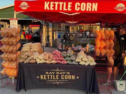 A colorful kettle corn stand with bags of popcorn in various flavors displayed under a red canopy.