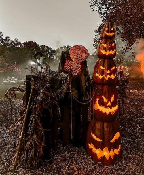 A spooky Halloween scene featuring stacked carved pumpkins and a scarecrow amidst fog and autumn foliage.