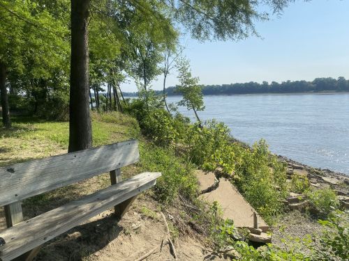 A wooden bench by a riverbank, surrounded by greenery and trees under a clear blue sky.
