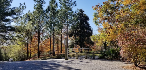 A scenic view of a gravel path leading to a gate, surrounded by trees with autumn foliage under a clear blue sky.