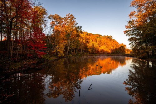 A serene lake surrounded by vibrant autumn trees reflecting in the water under a clear blue sky.