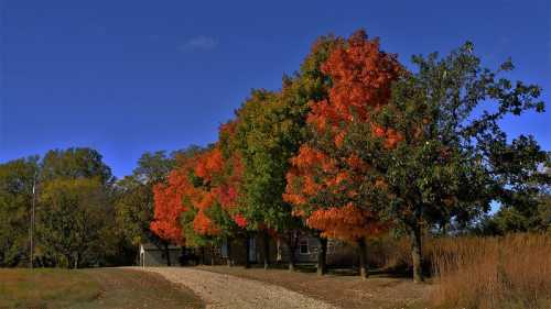 A gravel path lined with vibrant autumn trees in shades of red, orange, and green under a clear blue sky.