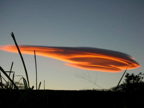 A striking cloud formation with a bright orange edge, set against a twilight sky and silhouetted grass below.