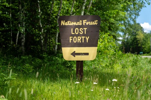 Sign for "Lost Forty" in a national forest, with an arrow pointing left, surrounded by green grass and trees.