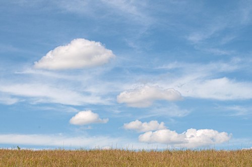 A clear blue sky with fluffy white clouds above a grassy field.