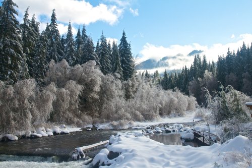The 15 Best Things To Do In Oregon In Winter