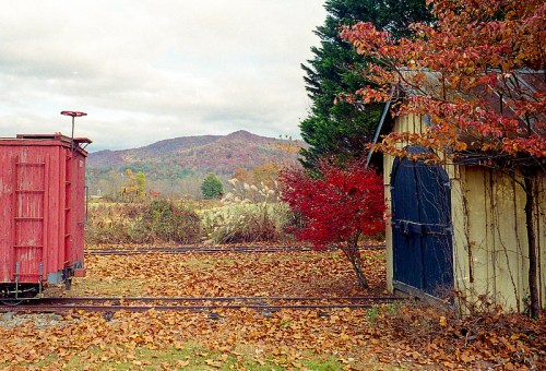 A red train car and a blue shed surrounded by autumn leaves, with mountains in the background under a cloudy sky.