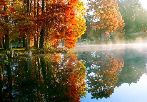 A serene lake surrounded by vibrant autumn trees, reflecting their colors in the calm water with morning mist.