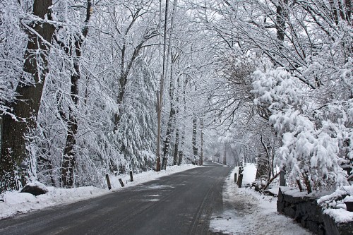 A snow-covered road lined with trees, creating a serene winter landscape.