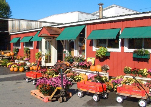 A charming red building with green awnings, surrounded by colorful flowers and pumpkins, with red wagons in front.