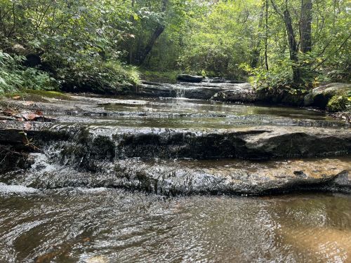 A serene stream flows over rocky steps, surrounded by lush greenery and trees in a peaceful forest setting.