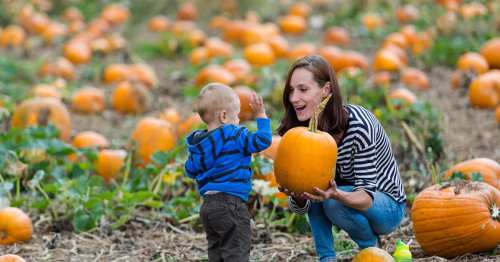 A woman and a toddler smile while holding a pumpkin in a pumpkin patch filled with orange pumpkins.