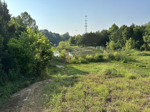 A serene landscape featuring a pond surrounded by lush greenery and trees, with a communication tower in the background.
