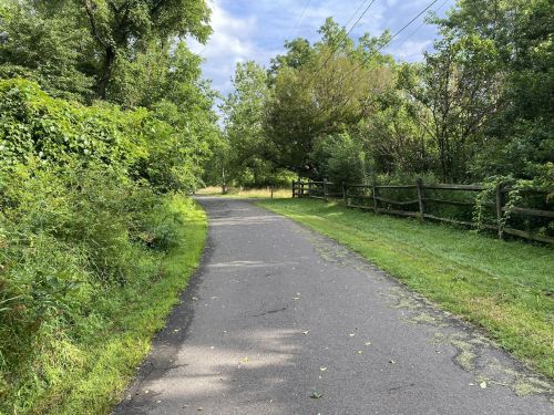 A peaceful, tree-lined path with greenery on both sides and a wooden fence in the background under a cloudy sky.