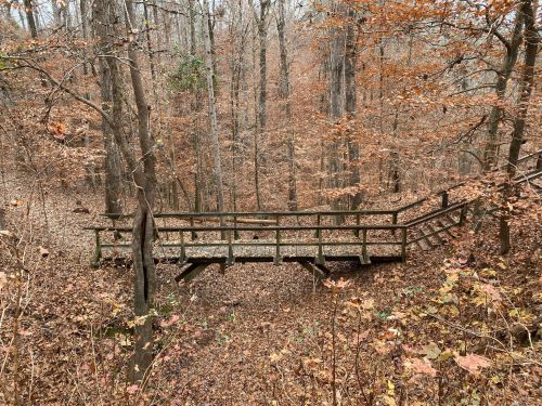 A wooden bridge crosses a forest path covered in fallen leaves, surrounded by trees with autumn foliage.
