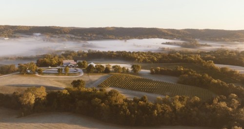 Aerial view of a serene landscape with rolling hills, vineyards, and a misty morning atmosphere.