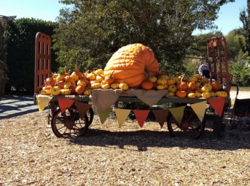 A cart filled with various pumpkins and gourds, featuring a large orange pumpkin, surrounded by colorful bunting.