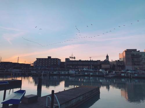 A serene waterfront at sunset, with birds flying over buildings and reflections in the calm water.