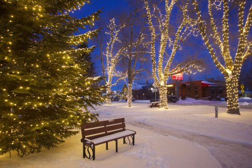 A snowy scene with a bench surrounded by trees adorned with twinkling holiday lights at dusk.