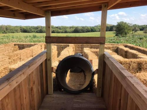 View from a wooden platform overlooking a straw maze with a large tube leading into it, surrounded by green fields.
