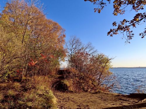A serene lakeside scene with autumn foliage and a clear blue sky, reflecting the beauty of nature.