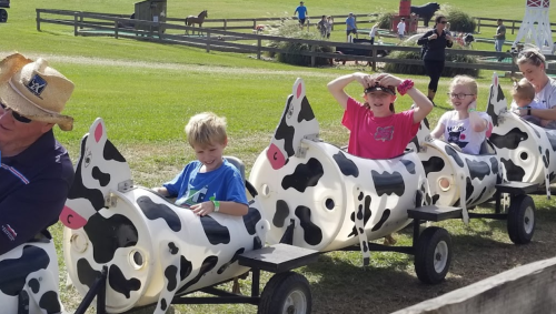 Children enjoy a cow-themed train ride on a sunny day at a farm, with adults supervising nearby.